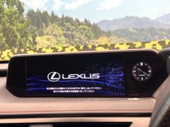 �ڣ�������������磻�ɥʥӡ۹�鴶�ȥ���ѥ��ȤΤ����緿�磻�ɥʥӤ��������Ƽ索���ǥ������Ϥ�����󡢲�Ĺ�磻�ɲ��̤ǤΥޥåף�ʬ��ɽ���ʤɡ���������⤤�ʥӤǤ��� 4