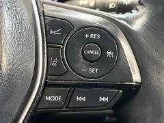 �ڥ졼�������롼������ȥ�����۹�®ƻϩ�Ǥ�Ĺ��Υ���Ԥ��ڤˡ�����ư��®�٤��ݤĥ��롼������ȥ����뤬�����ͷڸ������ƥ��Ϣ�Ȥ��������μ�ξ���Τ��Ƽִ֤��ݤĤ褦��®��Ĵ�ᤷ�Ƥ���ޤ����� 6