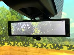 �ڥ���ƥꥸ����ȥ롼��ߥ顼�۸��ʤ��礭�ʲ�ʪ��Ʊ��ԤǸ�������ǧ���Ť餤���Ǥ�¿�������餬���Ƥ�����ξ�����α�����롼��ߥ顼���ɽ�������ꥢ�ʻ볦�Ǿ����γ�ǧ����ǽ�Ǥ��� 6