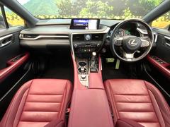 ���롼�����߸˿��󣳣����������桪������η���Ź����᡼�������ּ���鷺���Ҳ�����Τǡ����ʤ��˥ԥå���Τ��֤����Ĥ���Ϥ��Ǥ����ޤ��Ϥ��䤤��碌�������� 2