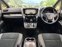 ���롼�����߸˿��󣳣����������桪������η���Ź����᡼�������ּ���鷺���Ҳ�����Τǡ����ʤ��˥ԥå���Τ��֤����Ĥ���Ϥ��Ǥ����ޤ��Ϥ��䤤��碌�������� 2