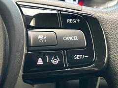 �ڥ����ץƥ��֥��롼������ȥ�����۹�®ƻϩ�Ǥ�Ĺ��Υ���Ԥ��ڤˡ�����ư��®�٤��ݤĥ��롼������ȥ����뤬�����ͷڸ������ƥ��Ϣ�Ȥ��������μ�ξ���Τ��Ƽִ֤��ݤĤ褦��®��Ĵ�ᤷ�Ƥ���ޤ����� 5