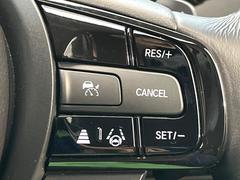 �ڥ����ץƥ��֥��롼������ȥ�����۹�®ƻϩ�Ǥ�Ĺ��Υ���Ԥ��ڤˡ�����ư��®�٤��ݤĥ��롼������ȥ����뤬�����ͷڸ������ƥ��Ϣ�Ȥ��������μ�ξ���Τ��Ƽִ֤��ݤĤ褦��®��Ĵ�ᤷ�Ƥ���ޤ����� 6