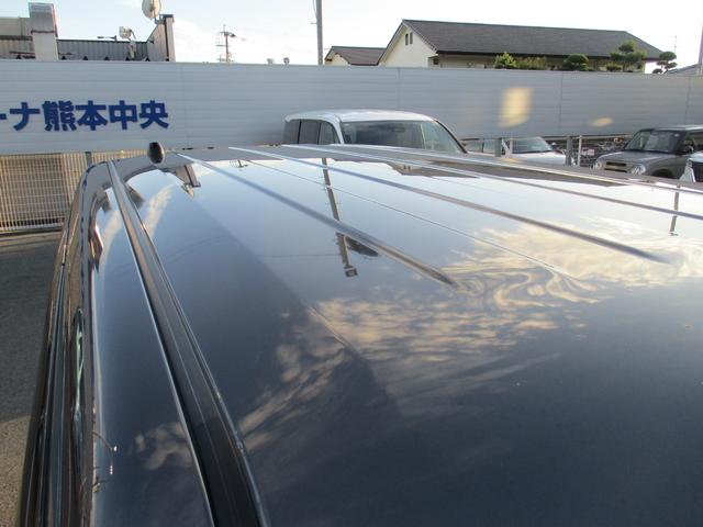 ハスラー ＨＹＢＲＩＤ　Ｘ　２型（39枚目）