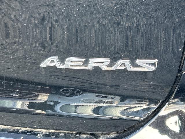 エスティマ アエラス　ＥＴＣ　バックカメラ　ナビ　ＴＶ　両側スライド・片側電動　ＨＩＤ　サンルーフ　スマートキー　電動格納ミラー　３列シート　オットマン　ＣＶＴ　アルミホイール　ＣＤ　ＤＶＤ再生　ＵＳＢ　Ｂｌｕｅｔｏｏｔｈ（28枚目）
