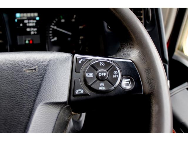 スーパーグレート 末広自動車工業製Lゲート 電動コボレーン(13枚目)