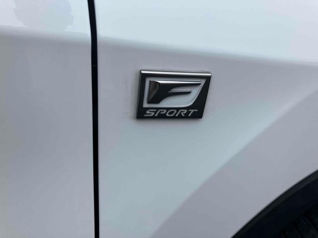 ＲＸ ＲＸ４５０ｈ　Ｆスポーツ　ドライブレコーダー　全周囲カメラ　クリアランスソナー　オートクルーズコントロール　レーンアシスト　パワーシート　衝突被害軽減システム　ナビ　ＴＶ　オートマチックハイビーム　オートライト（61枚目）