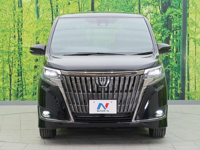 Gi プレミアムPKG ブラックテーラード 登録済み未使用車(17枚目)