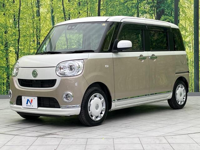 Ｇメイクアップリミテッド　ＳＡＩＩＩ　２トーンカラー　両側電動スライドドア　衝突軽減　禁煙車　ＳＤナビ　全周囲カメラ　Ｂｌｕｅｔｏｏｔｈ再生　フルセグＴＶ　ＥＴＣ　ＬＥＤヘッドライト　ドラレコ　誤発進抑制　オートハイビーム　車線逸脱警報(25枚目)