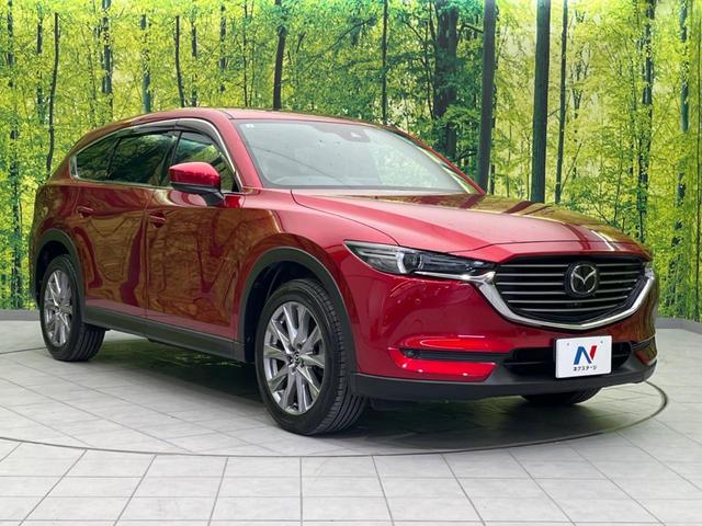 ＣＸ－８ ２５Ｓ　プロアクティブ　６人乗り　アルパイン製後席モニター　衝突軽減装置　禁煙車　マツダコネクトナビ　全周囲カメラ　レーダークルーズ　ＥＴＣ　Ｂｌｕｅｔｏｏｔｈ　フルセグ　ドライブレコーダー　スマートキー　シートヒーター（16枚目）
