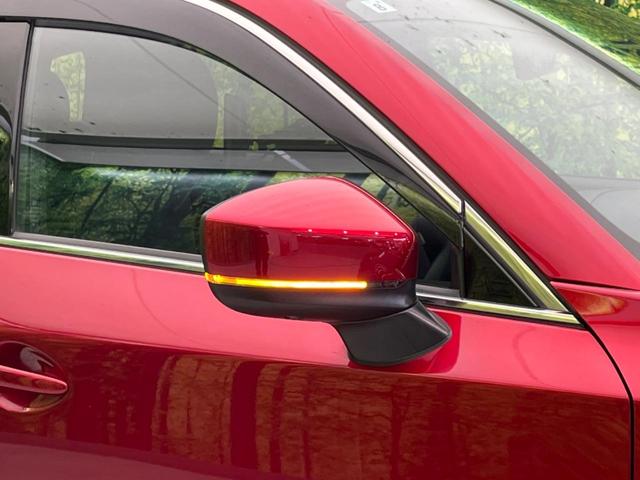 ＣＸ－８ ２５Ｓ　プロアクティブ　６人乗り　アルパイン製後席モニター　衝突軽減装置　禁煙車　マツダコネクトナビ　全周囲カメラ　レーダークルーズ　ＥＴＣ　Ｂｌｕｅｔｏｏｔｈ　フルセグ　ドライブレコーダー　スマートキー　シートヒーター（22枚目）
