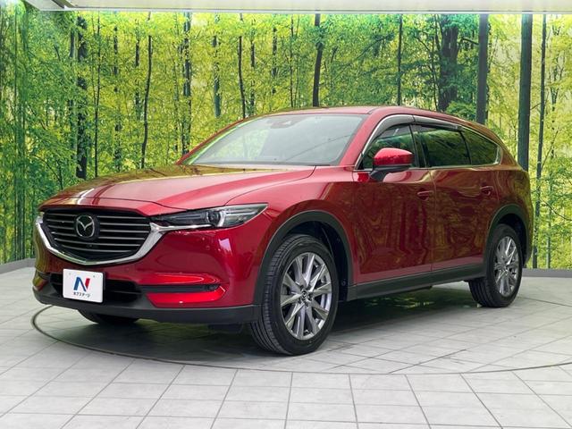 ＣＸ－８ ２５Ｓ　プロアクティブ　６人乗り　アルパイン製後席モニター　衝突軽減装置　禁煙車　マツダコネクトナビ　全周囲カメラ　レーダークルーズ　ＥＴＣ　Ｂｌｕｅｔｏｏｔｈ　フルセグ　ドライブレコーダー　スマートキー　シートヒーター（26枚目）