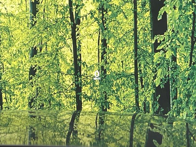 ＣＸ－６０ ＸＤ－ハイブリッド　エクスクルーシブモダン　ターボ　４ＷＤ　衝突軽減装置　禁煙車　純正１２インチナビ　本革シート　全周囲カメラ　レーダークルーズコントロール　ＥＴＣ　Ｂｌｕｅｔｏｏｔｈ　フルセグ　ドラレコ　シートヒーター　シートエアコン（74枚目）