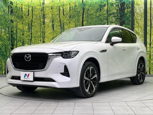 ＣＸ－６０ ＸＤ－ハイブリッド　プレミアムモダン　ガラスルーフ　ターボ　４ＷＤ　衝突軽減装置　禁煙車　純正１２インチナビ　全周囲カメラ　ＢＯＳＥサウンド　レーダークルーズコントロール　ＥＴＣ　Ｂｌｕｅｔｏｏｔｈ　フルセグ　ドライブレコーダー（27枚目）