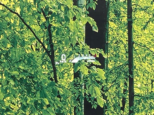 スペーシアカスタム ハイブリッドＸＳ　両側電動スライド　衝突軽減装置　レーダークルーズコントロール　禁煙車　メーカーナビ　全周囲カメラ　ＥＴＣ　Ｂｌｕｅｔｏｏｔｈ　フルセグ　ドライブレコーダー　デジタルインナーミラー　コーナーセンサー（45枚目）