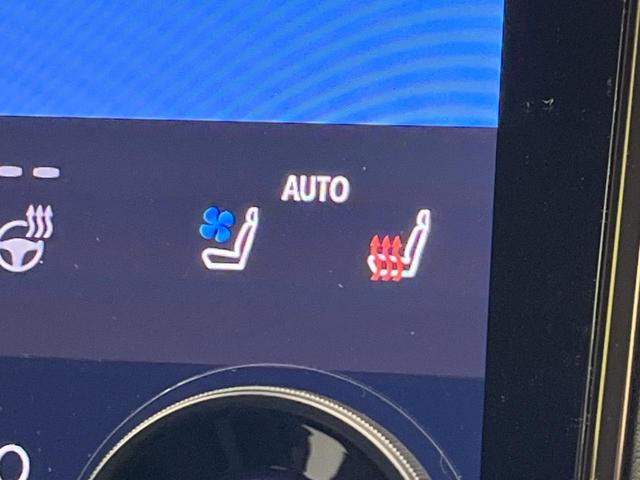 ヴェルファイアハイブリッド Ｚ　プレミア　ガラスルーフ　メーカーナビ　フリップダウンモニター　両側電動スライド　衝突軽減装置　全周囲カメラ　レーダークルーズ　禁煙車　ＥＴＣ　Ｂｌｕｅｔｏｏｔｈ　フルセグ　デジタルインナーミラー　ドラレコ（63枚目）