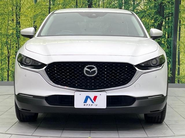 ＣＸ－３０ ＸＤ　プロアクティブ　ツーリングセレクション　ディーゼル　メーカー純正ナビ　バックカメラ　衝突警報装置　レーダークルーズコントロール　禁煙車　パワーバックドア　シートヒーター　ドライブレコーダー　コーナーセンサー　レーンキープ　スマートキー（14枚目）