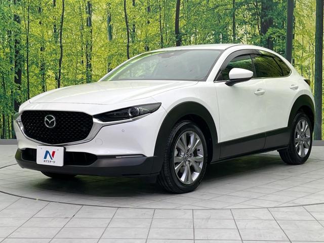 ＣＸ－３０ ＸＤ　プロアクティブ　ツーリングセレクション　ディーゼル　メーカー純正ナビ　バックカメラ　衝突警報装置　レーダークルーズコントロール　禁煙車　パワーバックドア　シートヒーター　ドライブレコーダー　コーナーセンサー　レーンキープ　スマートキー（26枚目）