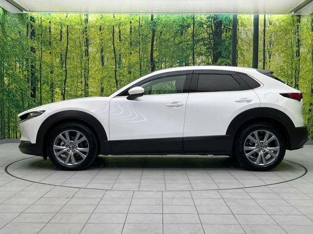 ＣＸ－３０ ＸＤ　プロアクティブ　ツーリングセレクション　ディーゼル　メーカー純正ナビ　バックカメラ　衝突警報装置　レーダークルーズコントロール　禁煙車　パワーバックドア　シートヒーター　ドライブレコーダー　コーナーセンサー　レーンキープ　スマートキー（27枚目）