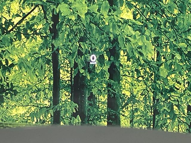 ＭＡＺＤＡ３セダン Ｘプロアクティブ　ツーリングセレクション　バックカメラ　ＢＯＳＥサウンド　衝突被害軽減システム　レーダークルーズ　禁煙車　電動リアゲート　パワーシート　ドラレコ　コーナーセンサー　スマートキー　ＬＥＤヘッド　ビルトインＥＴＣ（56枚目）