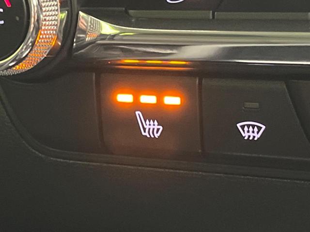 ＭＡＺＤＡ３セダン Ｘプロアクティブ　ツーリングセレクション　バックカメラ　ＢＯＳＥサウンド　衝突被害軽減システム　レーダークルーズ　禁煙車　電動リアゲート　パワーシート　ドラレコ　コーナーセンサー　スマートキー　ＬＥＤヘッド　ビルトインＥＴＣ（60枚目）