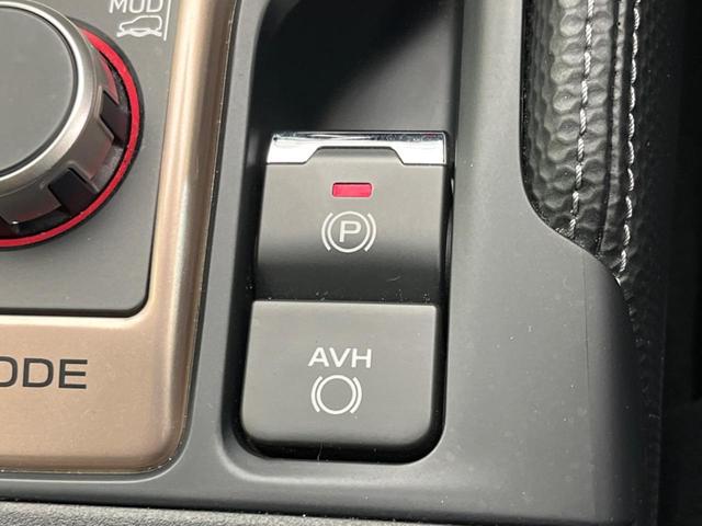 フォレスター アドバンス　４ＷＤ　サンルーフ　衝突軽減装置　レーダークルーズ　純正ＳＤナビ　バックカメラ　禁煙車　レザーシート　全席シートヒーター　クリアランスソナー　ＥＴＣ　Ｂｌｕｅｔｏｏｔｈ再生　ＣＤ／ＤＶＤ再生（68枚目）