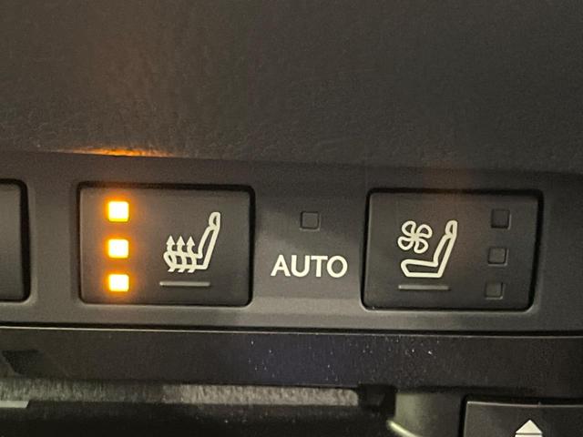 ＥＳ ＥＳ３００ｈ　Ｆスポーツ　サンルーフ　衝突軽減　レーダークルーズ　１２．３型メーカーナビ　バックカメラ　Ｂｌｕｅｔｏｏｔｈ　フルセグ　ＥＴＣ　ドラレコ　三眼ＬＥＤヘッド　シートヒーター　合皮シート　オートマチックハイビーム（47枚目）