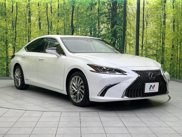 ＥＳ ＥＳ３００ｈ　バージョンＬ　ムーンルーフ　セーフティシステムプラス　メーカーナビ　パノラミックビューＭ　プレミアムサウンド　３眼ＬＥＤヘッド　スマートキー　純正１８ＡＷ　セミアニリン革シート　ＢＳＭ　ハンズフリーパワーバックドア（16枚目）