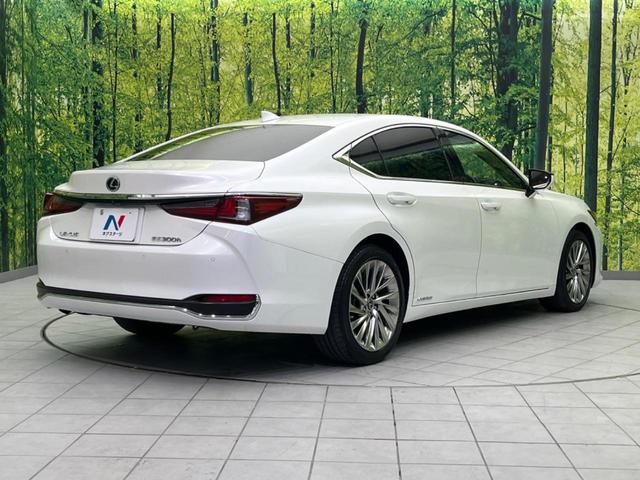 ＥＳ ＥＳ３００ｈ　バージョンＬ　ムーンルーフ　セーフティシステムプラス　メーカーナビ　パノラミックビューＭ　プレミアムサウンド　３眼ＬＥＤヘッド　スマートキー　純正１８ＡＷ　セミアニリン革シート　ＢＳＭ　ハンズフリーパワーバックドア（17枚目）