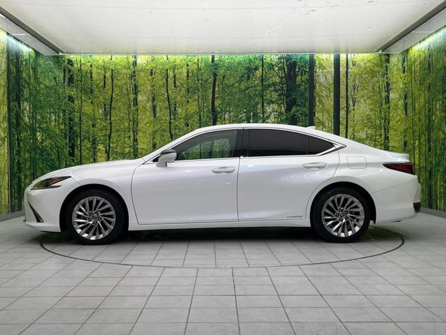 ＥＳ ＥＳ３００ｈ　バージョンＬ　ムーンルーフ　セーフティシステムプラス　メーカーナビ　パノラミックビューＭ　プレミアムサウンド　３眼ＬＥＤヘッド　スマートキー　純正１８ＡＷ　セミアニリン革シート　ＢＳＭ　ハンズフリーパワーバックドア（29枚目）