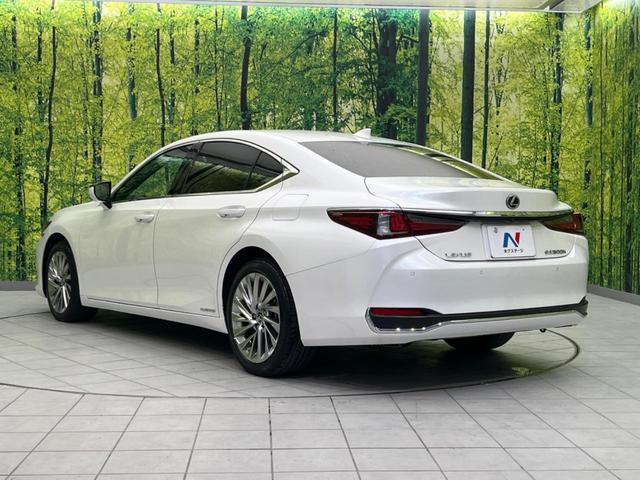 ＥＳ ＥＳ３００ｈ　バージョンＬ　ムーンルーフ　セーフティシステムプラス　メーカーナビ　パノラミックビューＭ　プレミアムサウンド　３眼ＬＥＤヘッド　スマートキー　純正１８ＡＷ　セミアニリン革シート　ＢＳＭ　ハンズフリーパワーバックドア（30枚目）