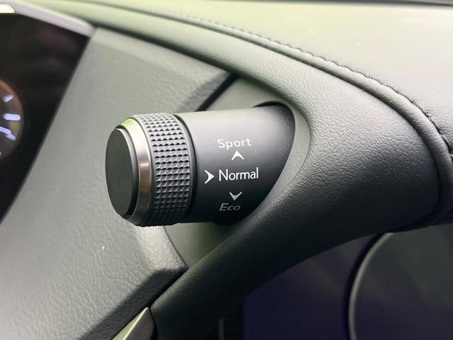 ＥＳ ＥＳ３００ｈ　バージョンＬ　ムーンルーフ　セーフティシステムプラス　メーカーナビ　パノラミックビューＭ　プレミアムサウンド　３眼ＬＥＤヘッド　スマートキー　純正１８ＡＷ　セミアニリン革シート　ＢＳＭ　ハンズフリーパワーバックドア（69枚目）