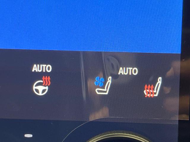 アルファード Z 左右独立ムーンルーフ フリップダウンモニター 純正14インチナビ 全周囲カメラ 両側電動スライドドア 衝突軽減装置 禁煙車 レーダークルーズ ETC Bluetooth再生 フルセグ(73枚目)