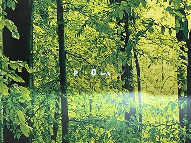 アルファードハイブリッド Ｚ　ガラスルーフ　両側電動スライドドア　後席モニター　全周囲カメラ　ＡＣ１００Ｖ電源　衝突軽減装置　レーダークルーズ　禁煙車　パワーバックドア　シートヒーター　パワーシート　シートエアコン　パワーシート（55枚目）