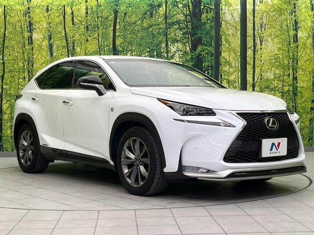 NX NX300h Fスポーツ 禁煙車 純正ナビ 本革シート バックカメラ ETC Bluetooth フルセグ ドライブレコーダー シートヒーター シートエアコン パワーシート LEDヘッドライト LEDフォグライト(16枚目)