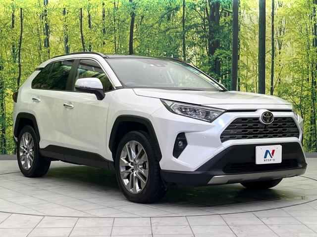 ＲＡＶ４ Ｇ　Ｚパッケージ　４ＷＤ　サンルーフ　全周囲カメラ　衝突軽減装置　レーダークルーズコントロール　禁煙車　パワーバックドア　シートヒーター　シートエアコン　パワーシート　ドラレコ　コーナーセンサー　レーンキープ（16枚目）