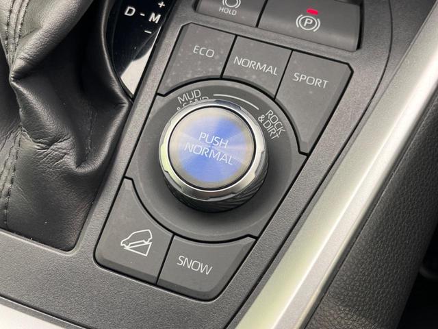 ＲＡＶ４ Ｇ　Ｚパッケージ　４ＷＤ　サンルーフ　全周囲カメラ　衝突軽減装置　レーダークルーズコントロール　禁煙車　パワーバックドア　シートヒーター　シートエアコン　パワーシート　ドラレコ　コーナーセンサー　レーンキープ（64枚目）