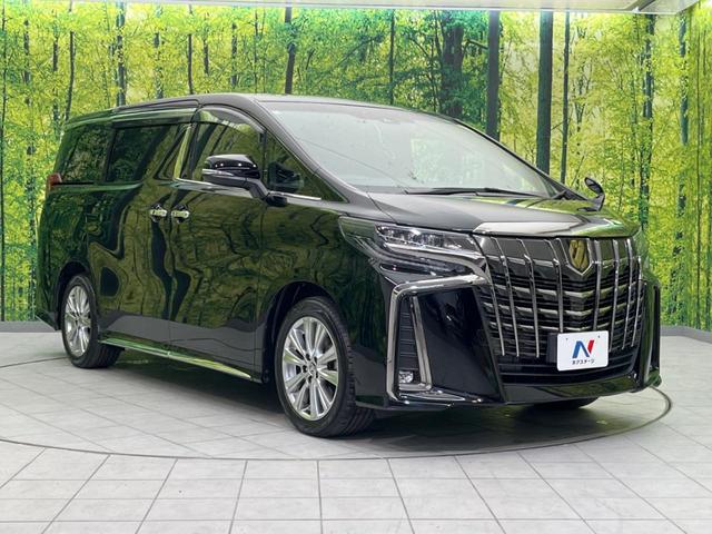 アルファード ２．５Ｓ　タイプゴールド　両側電動スライドドア　後席モニター　衝突軽減装置　禁煙車　メーカーＳＤナビ　バックカメラ　ＥＴＣ　Ｂｌｕｅｔｏｏｔｈ再生　フルセグ　ドラレコ　ＬＥＤヘッドライト　ハーフレザーシート（17枚目）