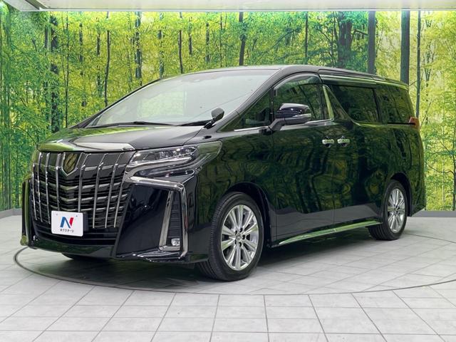 アルファード ２．５Ｓ　タイプゴールド　両側電動スライドドア　後席モニター　衝突軽減装置　禁煙車　メーカーＳＤナビ　バックカメラ　ＥＴＣ　Ｂｌｕｅｔｏｏｔｈ再生　フルセグ　ドラレコ　ＬＥＤヘッドライト　ハーフレザーシート（28枚目）