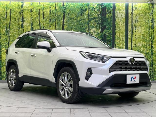 ＲＡＶ４ Ｇ　Ｚパッケージ　純正９インチＳＤナビ　バックカメラ　衝突警報装置　レーダークルーズコントロール　禁煙車　パワーバックドア　合皮シート　シートヒーター　ドライブレコーダー　コーナーセンサー　レーンキープ（16枚目）