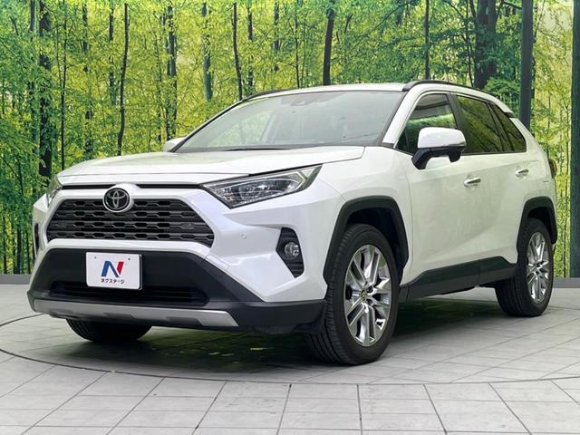ＲＡＶ４ Ｇ　Ｚパッケージ　純正９インチＳＤナビ　バックカメラ　衝突警報装置　レーダークルーズコントロール　禁煙車　パワーバックドア　合皮シート　シートヒーター　ドライブレコーダー　コーナーセンサー　レーンキープ（33枚目）