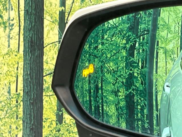 ＲＡＶ４ Ｇ　Ｚパッケージ　純正９インチＳＤナビ　バックカメラ　衝突警報装置　レーダークルーズコントロール　禁煙車　パワーバックドア　合皮シート　シートヒーター　ドライブレコーダー　コーナーセンサー　レーンキープ（70枚目）