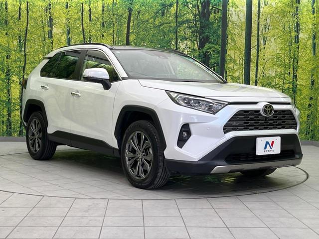 ＲＡＶ４ Ｇ　サンルーフ　１０．５ディスプレイオーディオ　全周囲カメラ　衝突軽減　レーダークルーズ　禁煙車　ＥＴＣ　電動リアゲート　シートエアコン　パワーシート　ドラレコ　　スマートキー　ＬＥＤヘッド（17枚目）
