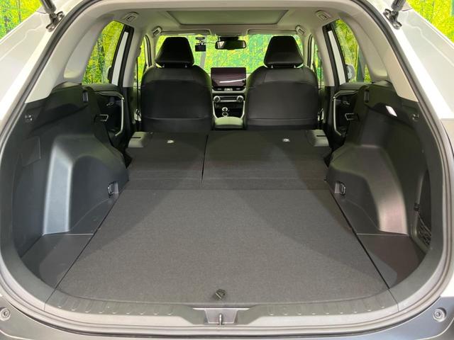 ＲＡＶ４ Ｇ　サンルーフ　１０．５ディスプレイオーディオ　全周囲カメラ　衝突軽減　レーダークルーズ　禁煙車　ＥＴＣ　電動リアゲート　シートエアコン　パワーシート　ドラレコ　　スマートキー　ＬＥＤヘッド（28枚目）