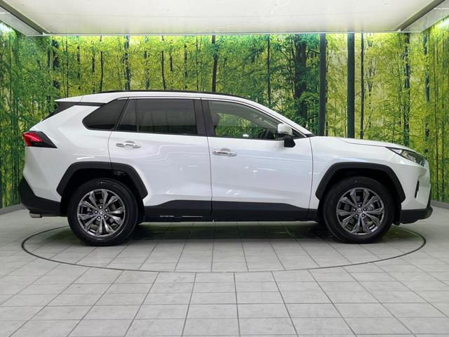 ＲＡＶ４ Ｇ　サンルーフ　１０．５ディスプレイオーディオ　全周囲カメラ　衝突軽減　レーダークルーズ　禁煙車　ＥＴＣ　電動リアゲート　シートエアコン　パワーシート　ドラレコ　　スマートキー　ＬＥＤヘッド（29枚目）