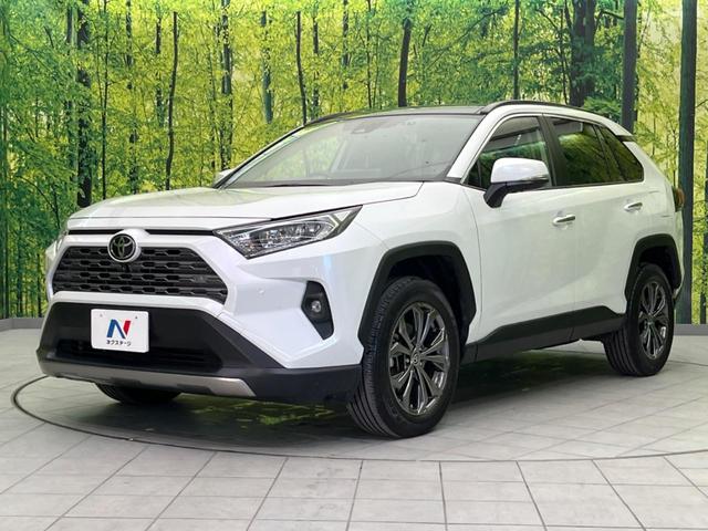 ＲＡＶ４ Ｇ　サンルーフ　１０．５ディスプレイオーディオ　全周囲カメラ　衝突軽減　レーダークルーズ　禁煙車　ＥＴＣ　電動リアゲート　シートエアコン　パワーシート　ドラレコ　　スマートキー　ＬＥＤヘッド（30枚目）