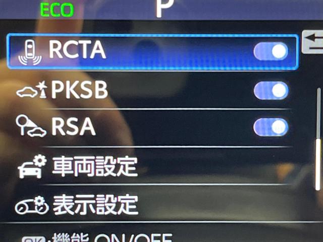 ＲＡＶ４ Ｇ　サンルーフ　１０．５ディスプレイオーディオ　全周囲カメラ　衝突軽減　レーダークルーズ　禁煙車　ＥＴＣ　電動リアゲート　シートエアコン　パワーシート　ドラレコ　　スマートキー　ＬＥＤヘッド（41枚目）