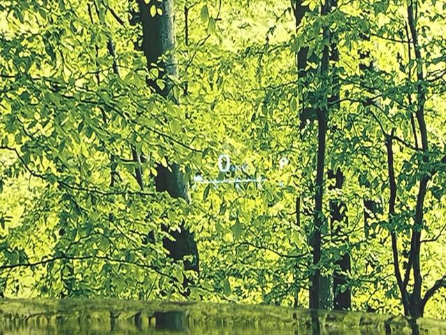 ハリアー Z 衝突軽減装置 禁煙車 純正12.3インチナビ 全周囲カメラ JBLサウンド レーダークルーズコントロール ETC2.0 Bluetooth フルセグ ドラレコ ハーフレザーシート パワーシート(64枚目)