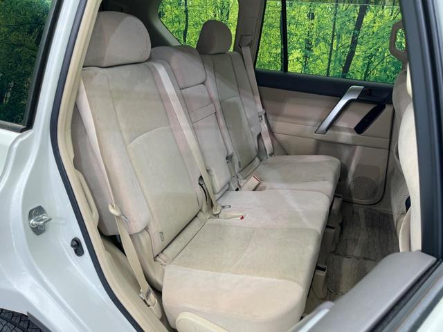 �㕔���Ȃ��C�ɂȂ�悤�ȃL�Y�E�����ւ��蓙�A�傫�ȃ_���[�W�͂Ȃ��A�ǍD�ȏ�Ԃł��B