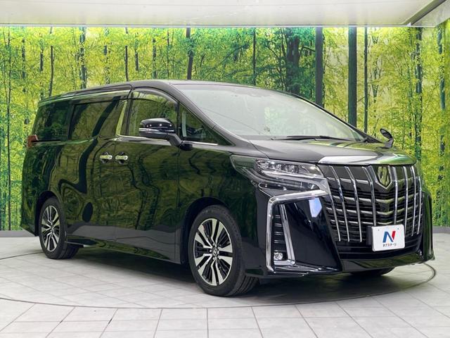アルファード ２．５Ｓ　Ｃパッケージ　サンルーフ　ＢＩＧ－Ｘ１１インチナビ　衝突軽減　禁煙車　ＢＩＧ－Ｘ１１インチナビ　両側電動スライド　バックカメラ　１２．８インチ後席モニター　レーダークルーズ　ドラレコ　ＥＴＣ　テジタルインナーミラー（17枚目）